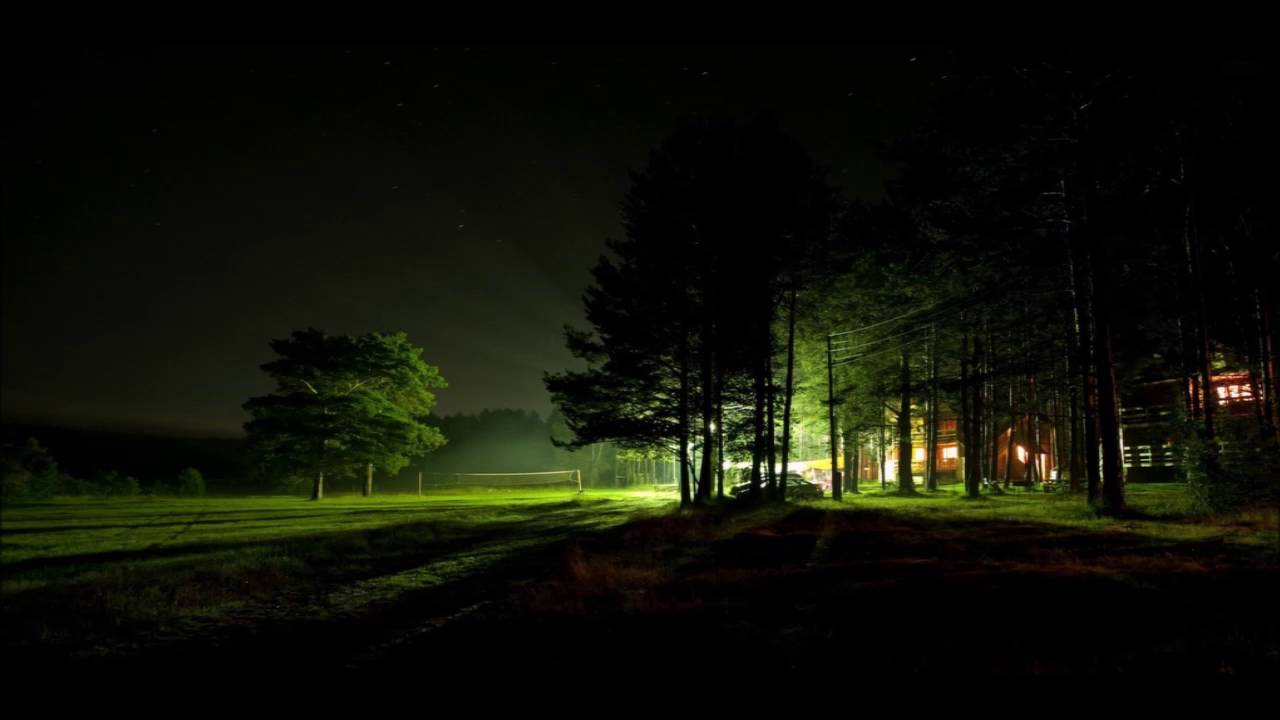 Night Time Forest Sounds 8 Hours: Nature Sounds, The Sound ...