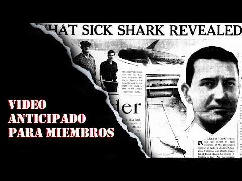 El día que un TIBURÓN DESTAPÓ un cr:men oculto