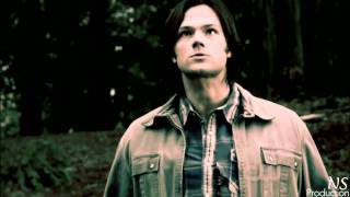 Im a whole new level of freak! - Sam Winchester