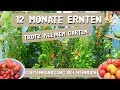 12 Monate ernten, trotz KLEINEM Garten - Gartenrundgang