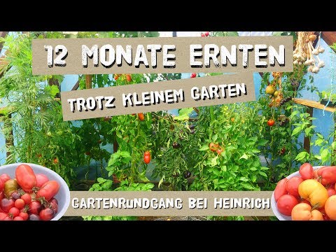 Video: Gemüsegarten Das Ganze Jahr über: Urbane Option