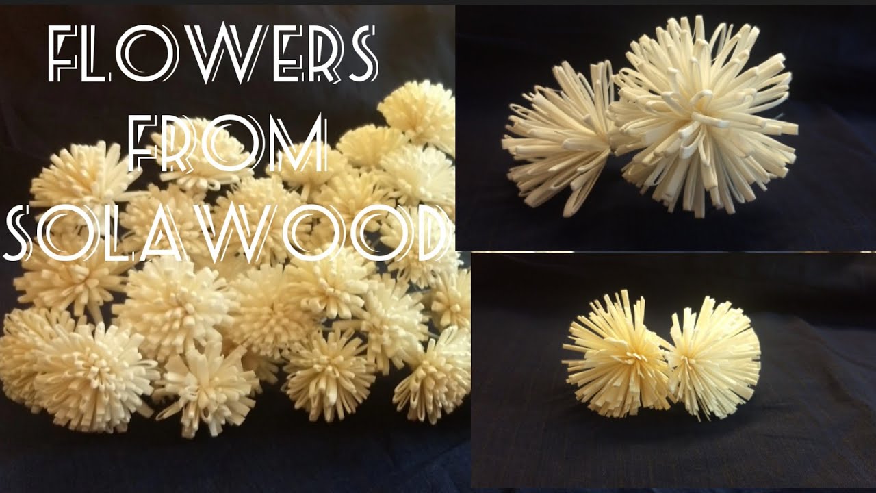 Flowers from solawood.  Episode  009