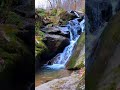 سورة نوح،آيات من سورة نوح لتفكر وتدبر ،#shorts