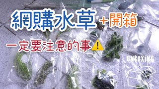 一定知道的網購水草注意事項！檢疫水草知道品質好嗎？療癒 ...