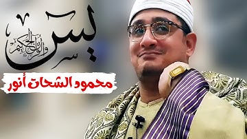 سورة يس كاملــــة استوديو 🎙️بصوت العالمي #الشيخ_محمود_الشحات