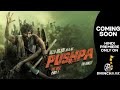 Pushpa  the rise coming soon only on dhinchaak indias leading movie channel a goldmines venture