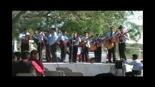 Video thumbnail of "grupo de integracion, cenani.avi"