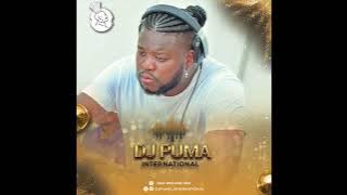 best Amapiano By Dj Puma L'international
