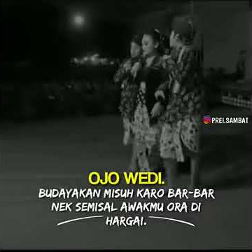 Story wa / percel,kuntet,dan,probo rini kesruh