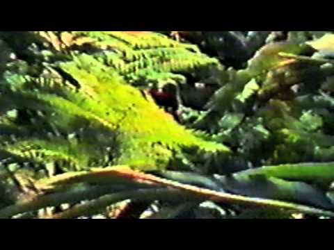 Kuhn — Kuhn - Slime Beach