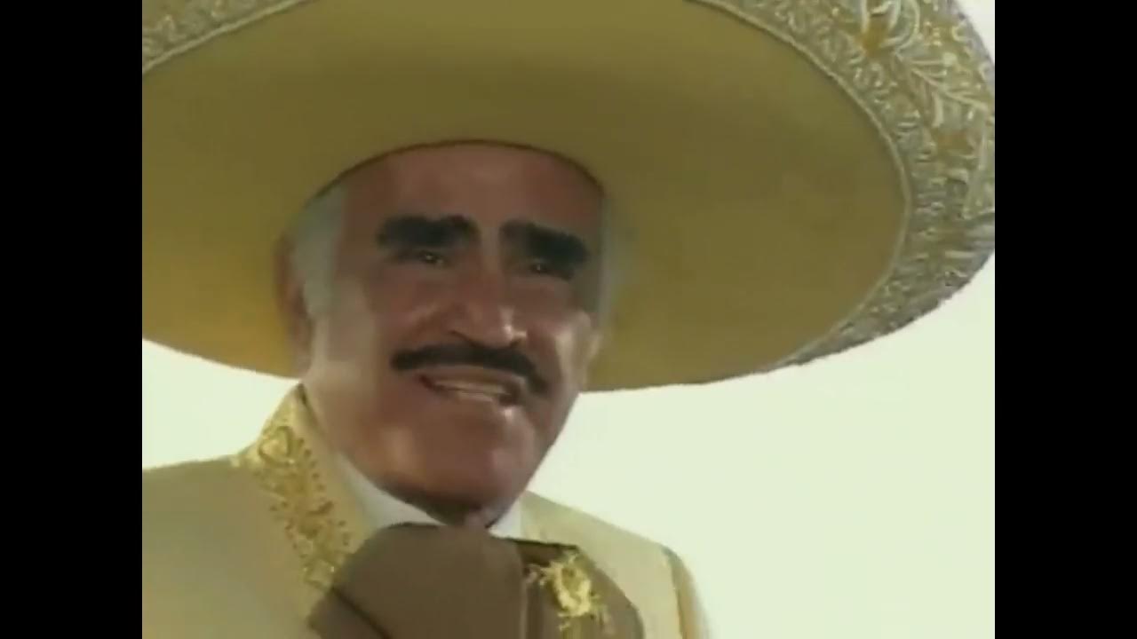 ELLA BAILA SOLA vicente fernandez 