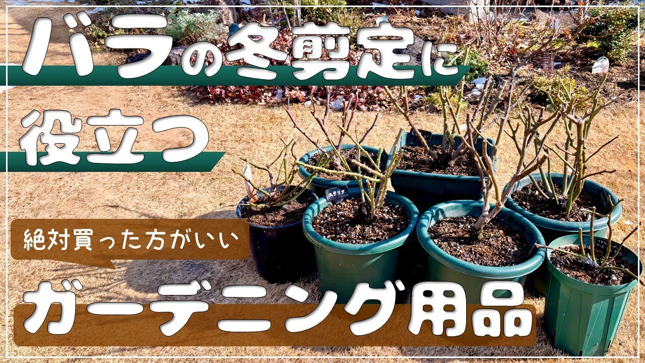 バラの冬剪定＆用土替えに役立つガーデニング用品4選！