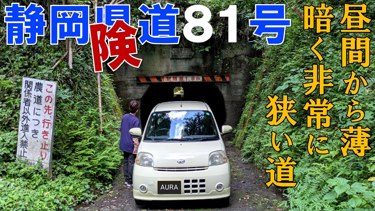 静岡屈指の難路・県道81号！50代夫婦がエッセで挑む全線走破の旅