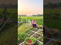 She turn PVC pipe into a magnetic water pump free no need electric power
