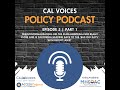 Episode 5, Part 1: Deinstitutionalization - Heading back to the 'bad old days' with recent laws?