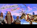 LAPLAND DAY TRIP WITH TUI IN SEARCH FOR SANTA | TRAVELLING TO FINLAND