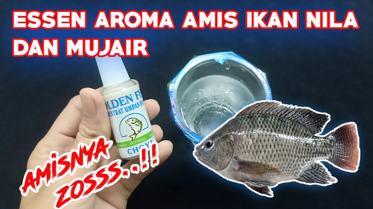 Esen buat ikan nila