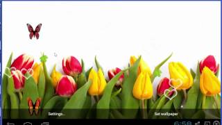 Tulip Flower HD Live Wallpaper screenshot 2
