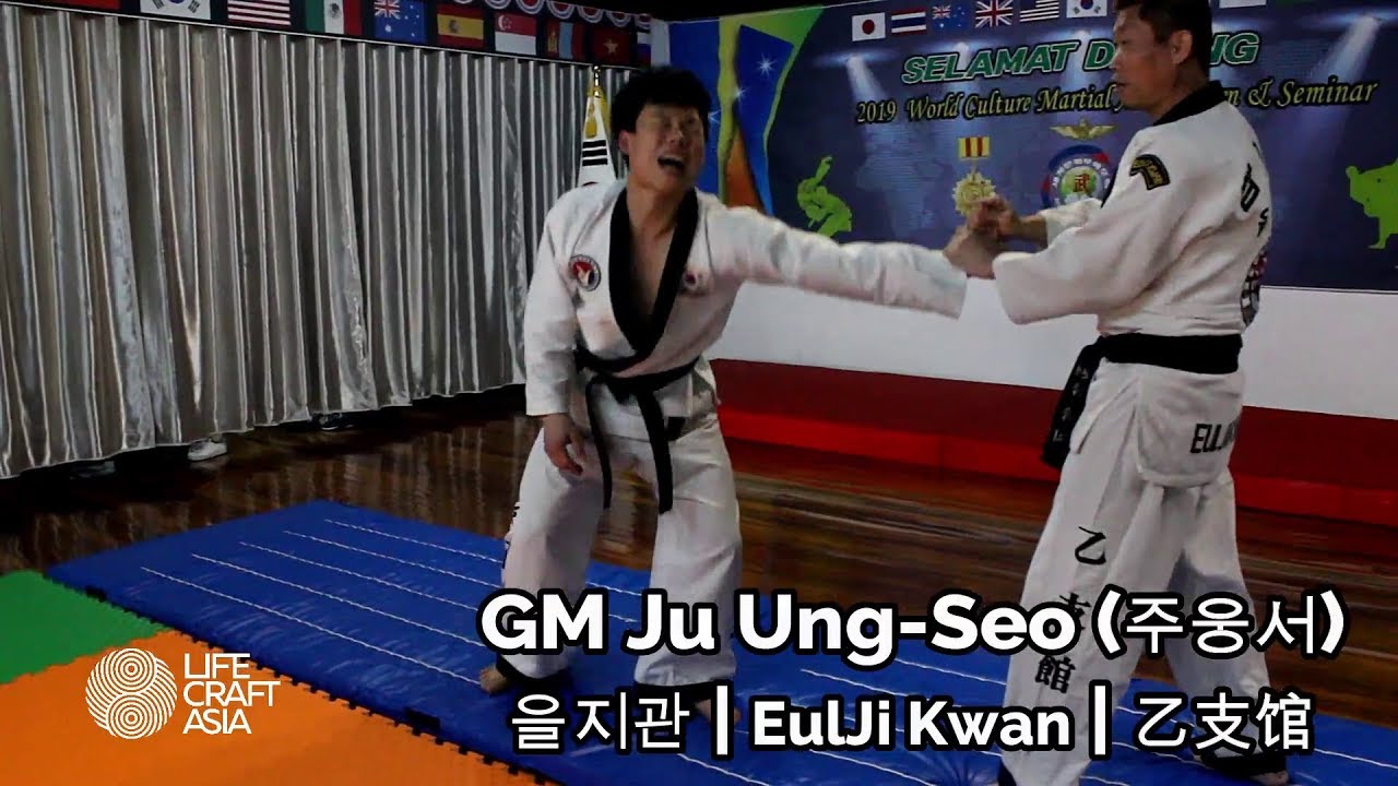 Hapkido Euljikwan Authentic Korean Martial Arts Training (AKMA) in