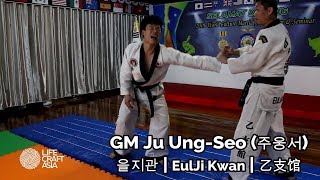 Hapkido Euljikwan - Authentic Korean Martial Arts Training (AKMA) in Seoul - Korea 20th March 2020 screenshot 4