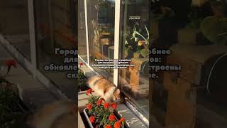 Удивительный город в Псковской области