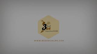 Bee Social Logo Animation