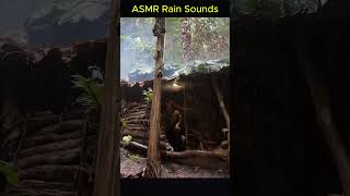 ASMR Rain Sounds🌧️