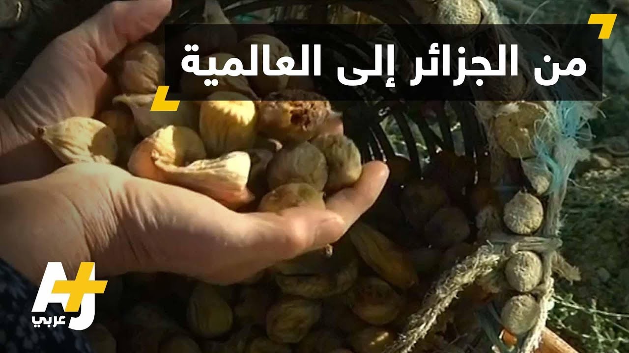 مزارعون جزائريون يكافحون لتصدير منتجات محلية