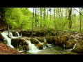 Tchaikovsky - Symphony No 2 in C minor, Op 17 - Jansons