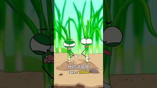 Soil Fight Who Grows Taller?