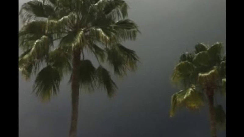 Runnin' Thru The 7Th With My Woadies -Lyrics - $Uicideboy$ X Pouya