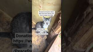 please subscription means alot and your financial support is more important. PayPal link is on video