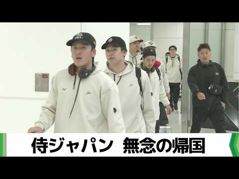 キング２（侍ジャパンモデル）【りゅうぼう】 Samurai Japan returns to Narita; fans praise them immediately