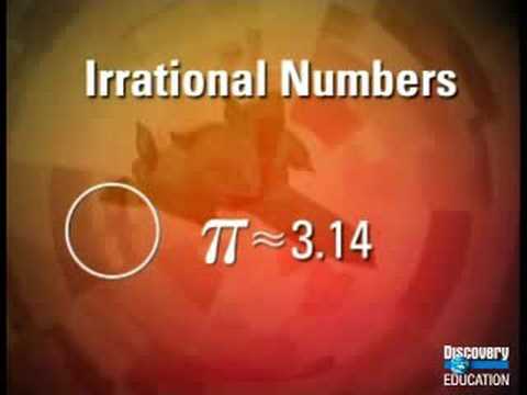 Who discovered rational numbers?