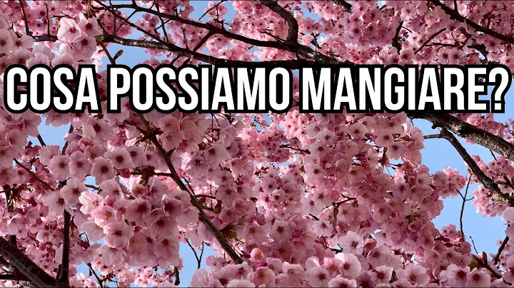 🇮🇹 Cosa Mangiare e Non Mangiare in Chetogenica