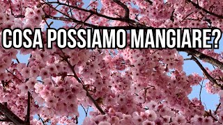 Cosa Mangiare e Non Mangiare in Chetogenica