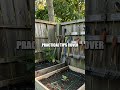 Three-Zone Tiny Yard Makeover