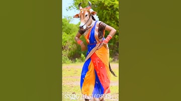 #shorts #viralvideo #dance #animals #goat #funny