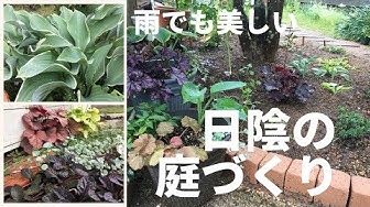 シェードガーデン Youtube