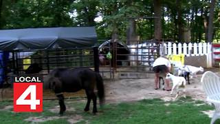 Local 4 News at 11   Aug. 31, 2026