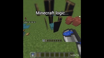 Minecraft Logic 🤔 (World
