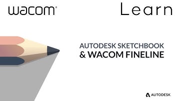 Using your Bamboo Fineline with Autodesk Sketchbook
