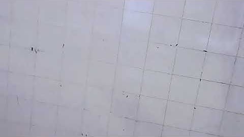 trao đổi SV làm luận văn con lắc ngược quay_6/8/2021