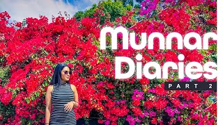 Munnar DiariesPart 02 | itsevangeline