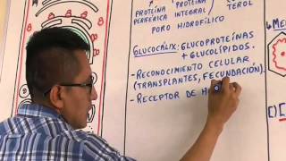 Biología 3 Célula Eucariota y Dogma - Pedro Pedrozo