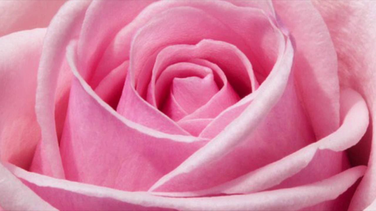 Mutter Maria Channeling - Der Mantel der Geborgenheit (Live-Channeling)