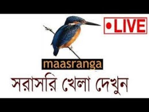 bangladesh-vs-south-africa-live-|-ban-vs-sa-|-channel-9-live