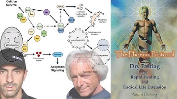 Dry Fasting for Healing & Life Extension w/ Dr. August Dunning