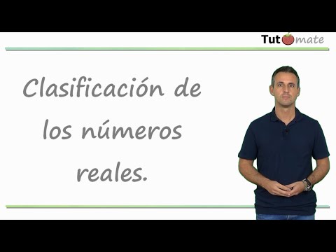 Clasificación de los