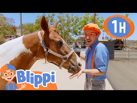 Blippi auf der Tierfarm 🐴 Blippi Deutsch | Abenteuer und Videos für Kinder